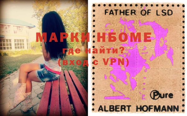 гашик Алексеевка